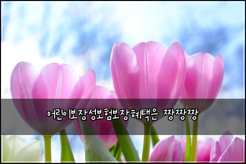 어린이보장성보험보장혜택은 짱짱짱