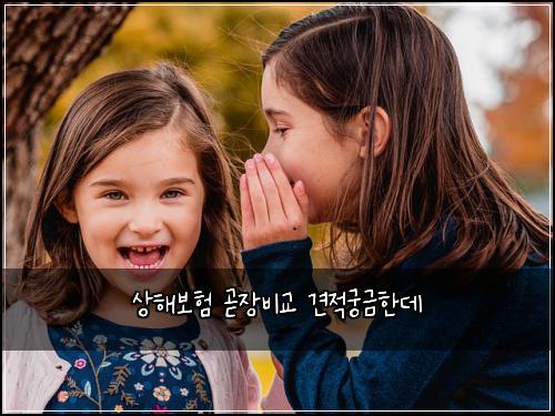 상해보험 곧장비교  견적궁금한데