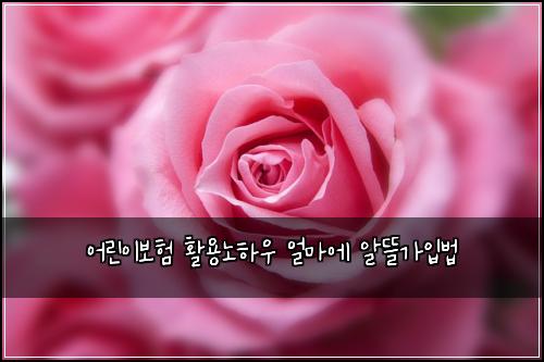 어린이보험 활용노하우  얼마에 알뜰가입법