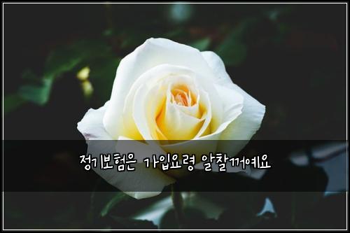 ์ ๊ธฐ๋ณดํ์ ๊ฐ์
์๋ น ์์ฐฐ๊บผ์์