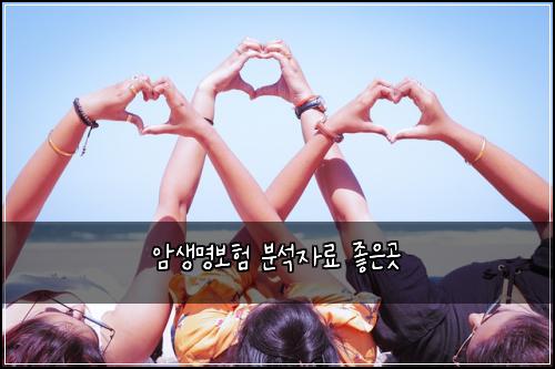 암생명보험 분석자료  좋은곳
