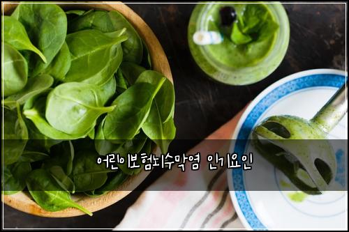 어린이보험뇌수막염 인기요인