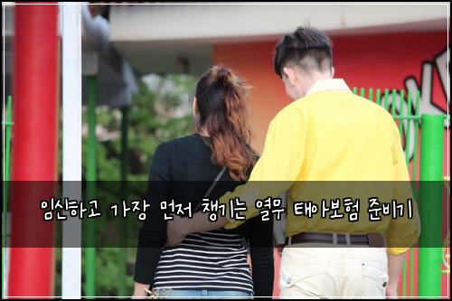 임신하고 가장 먼저 챙기는 열무 태아보험 준비기