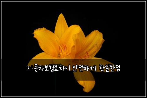 자동차보험료차이 안전하게 확실한점