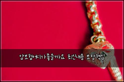 암보험어디가좋을까요 최신내용 보장핵심