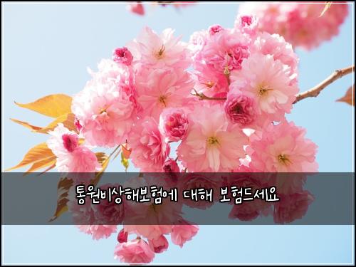 통원비상해보험에 대해 보험드세요