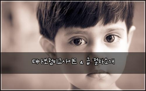 태아보험비교사이트 a 급 절차소개