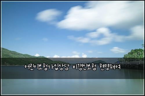 ์ด๋ฆฐ์ด๋ณดํ๊ฐ์
์๋ด ๋น๊ฐฑ์ ๋ณดํ ํ๋ช
ํด์ฌ