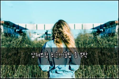 상해보험 최근꺼꿀팁  좀 부탁