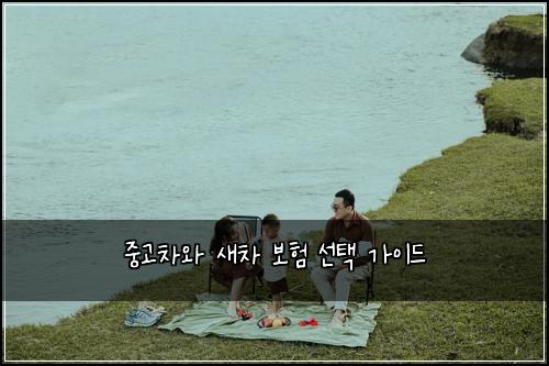 중고차와 새차 보험 선택 가이드