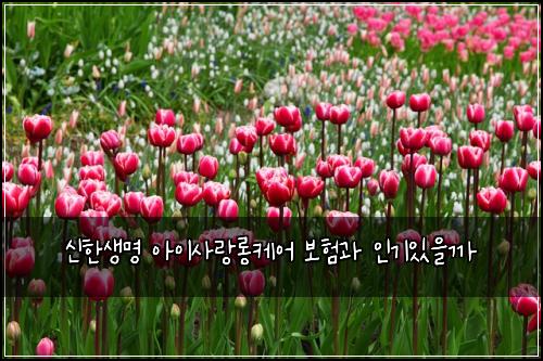 ์ ํ์๋ช
์์ด์ฌ๋๋กฑ์ผ์ด ๋ณดํ๊ณผ ์ธ๊ธฐ์์๊น