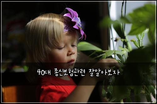 40대 종신보험관련 잘알아보자