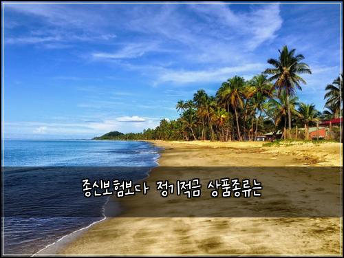 ์ข
์ ๋ณดํ๋ณด๋ค ์ ๊ธฐ์ ๊ธ ์ํ์ข
๋ฅ๋