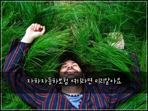 ์์ฐจ์๋์ฐจ๋ณดํ ์ฌ๊ธฐ๋ผ๋ฉด ๋ฏธ๋ฆฌ์์์