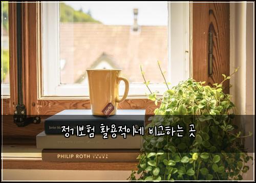 정기보험 활용적이네  비교하는 곳