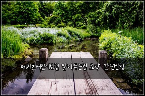 ๋ฉ๋ฆฌ์ธ ์ด๋ฆฐ์ด๋ณดํ ์์๋๋๋ฒ ์์ฝ ๊ฐํธ์ ์ฒญ