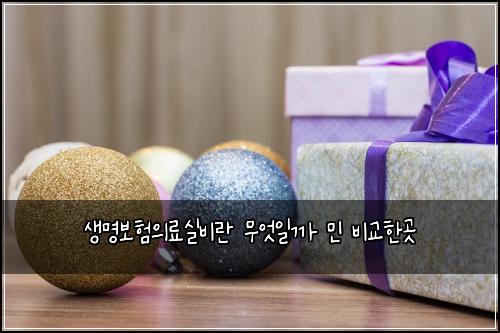 생명보험의료실비란 무엇일까 민 비교한곳