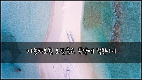 ์๋์ฐจ๋ณดํ ๋ณด์ฅ์ค์ ํน์ฝ์ ์ ํ๋์ด
