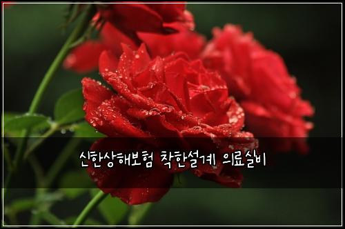 ์ ํ์ํด๋ณดํ ์ฐฉํ์ค๊ณ ์๋ฃ์ค๋น