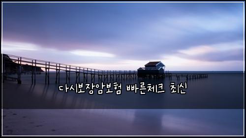 ๋ค์๋ณด์ฅ์๋ณดํ ๋น ๋ฅธ์ฒดํฌ ์ต์