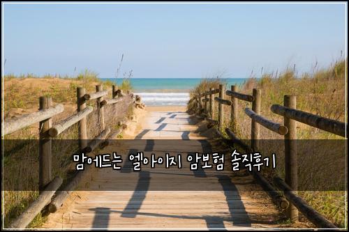 맘에드는 엘아이지 암보험 솔직후기