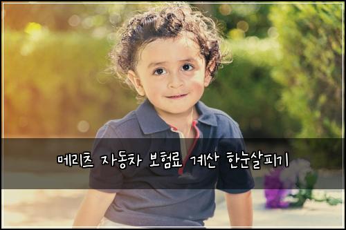 메리츠 자동차 보험료 계산 한눈살피기