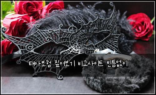 ํ์๋ณดํ ์ง์ด๋ณด๊ธฐ ๋น๊ต์ฌ์ดํธ ๋นํ์์ด