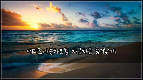 메리츠자동차보험 차근차근  좀더낮게