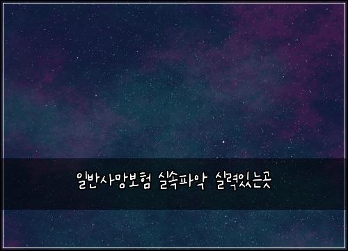일반사망보험 실속파악  실력있는곳
