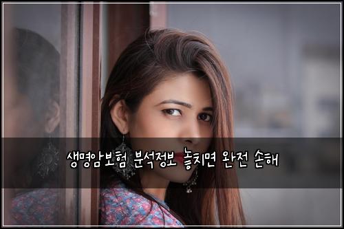 생명암보험 분석정보  놓치면 완전 손해
