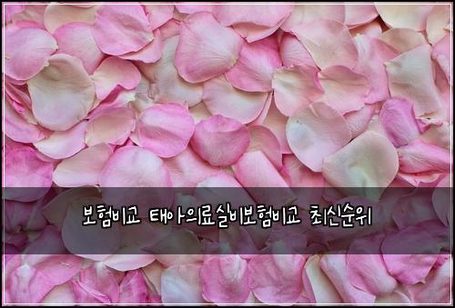 ๋ณดํ๋น๊ต ํ์์๋ฃ์ค๋น๋ณดํ๋น๊ต ์ต์ ์์