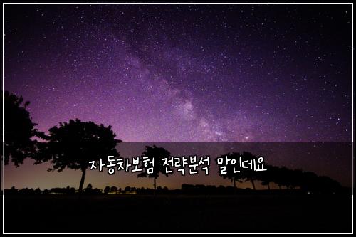자동차보험 전략분석  말인데요