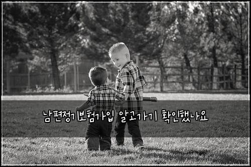 남편정기보험가입 알고가기 확인했나요