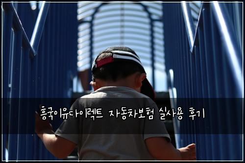 흥국이유다이렉트 자동차보험 실사용 후기