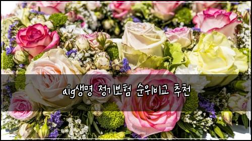 aig생명 정기보험 순위비교  추천