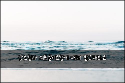 암보험과 의료실비보험에 대해 참고해봐요