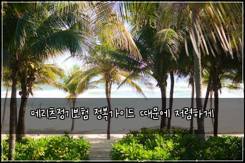 메리츠정기보험 정복가이드  때문에 저렴하게