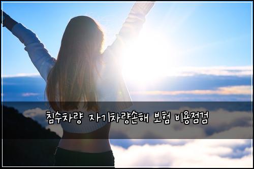 침수차량 자기차량손해 보험 비용점검 
