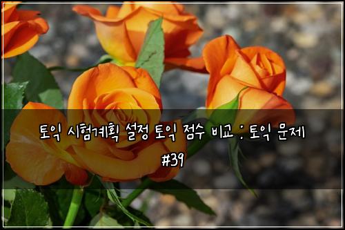 토익 시험계획 설정 토익 점수 비교 : 토익 문제 #39