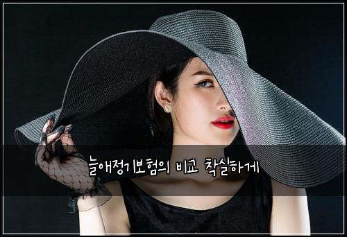 늘애정기보험의 비교 착실하게