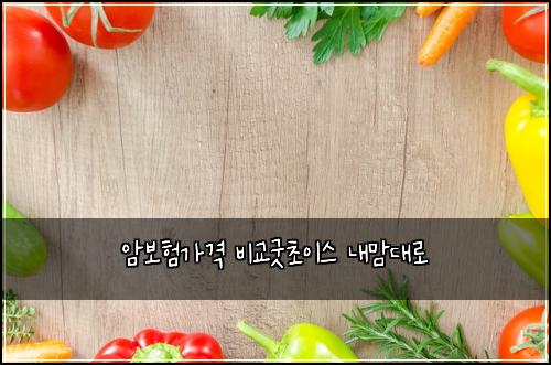 ์๋ณดํ๊ฐ๊ฒฉ ๋น๊ต๊ตฟ์ด์ด์ค ๋ด๋ง๋๋ก
