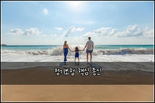 정기보험 핵심  종신