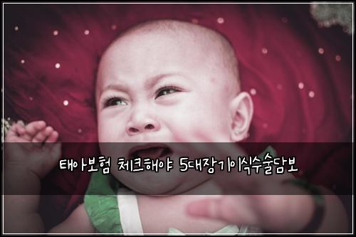 ํ์๋ณดํ ์ฒดํฌํด์ผ 5๋์ฅ๊ธฐ์ด์์์ ๋ด๋ณด