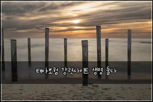 ํ์๋ณดํ ๊ฐ๋ ฅ์ฌ์ดํธ ์๋ช
๋๋ค