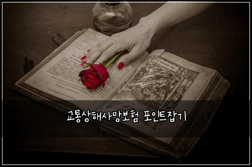 ๊ตํต์ํด์ฌ๋ง๋ณดํ ํฌ์ธํธ์ก๊ธฐ