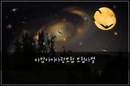๋ง๋ง์์ด์ฌ๋๋ณดํ ๋ณดํ์ฌ๋ณ