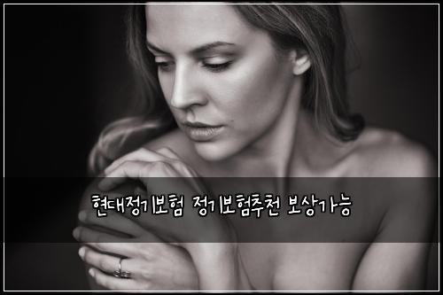 현대정기보험 정기보험추천 보상가능
