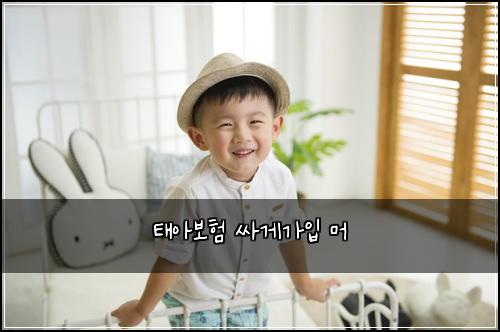 태아보험 싸게가입  머