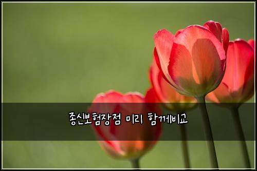 μ’
μ 보νμ₯μ 미리 ν¨κ»λΉκ΅