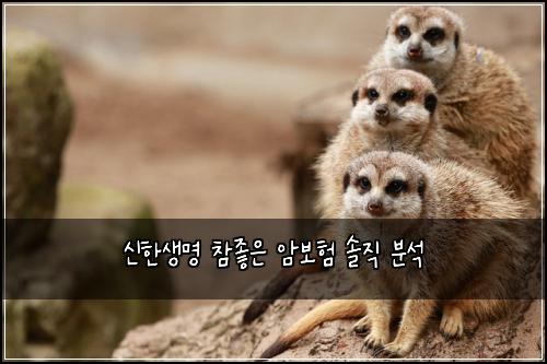 신한생명 참좋은 암보험 솔직 분석